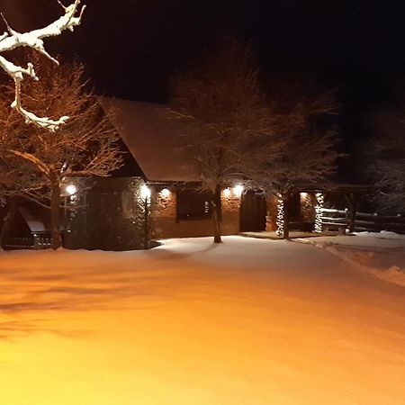 Holiday Home "Sleme" With Jacuzzi, Big Garden And Arbor With Fireplace Skrad Eksteriør billede