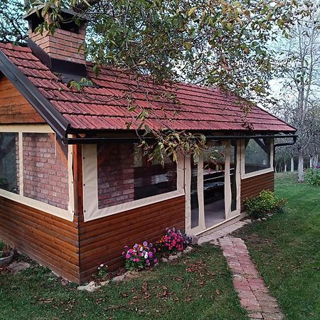 Holiday Home "Sleme" With Jacuzzi, Big Garden And Arbor With Fireplace Skrad Eksteriør billede