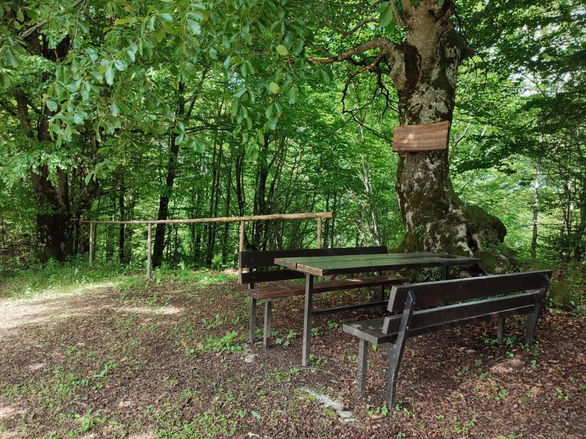 Holiday Home "Sleme" With Jacuzzi, Big Garden And Arbor With Fireplace Skrad Eksteriør billede
