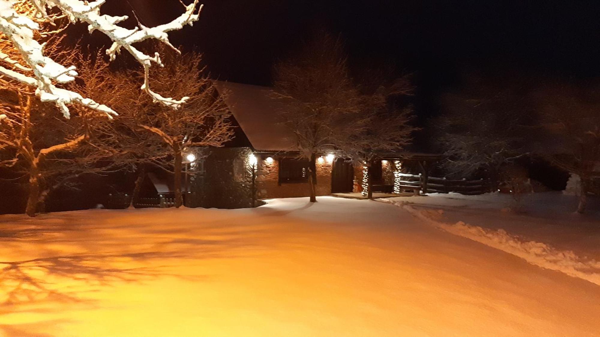 Holiday Home "Sleme" With Jacuzzi, Big Garden And Arbor With Fireplace Skrad Eksteriør billede
